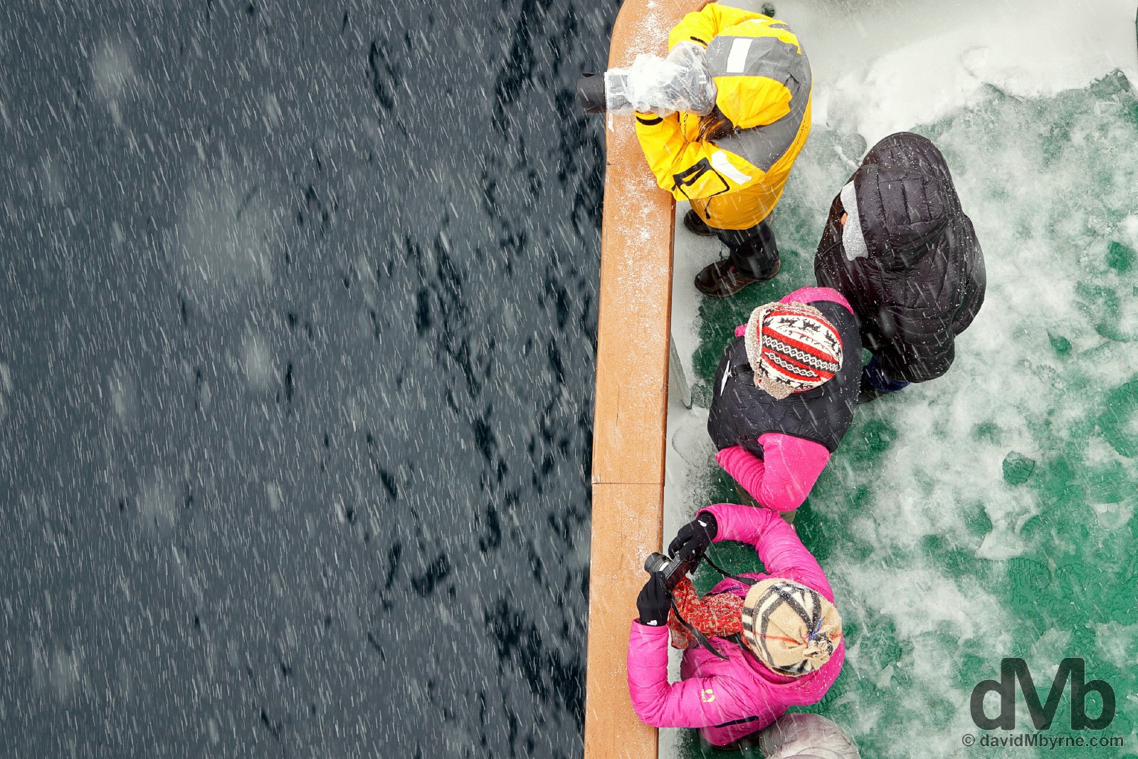 Whale watching in the driving snow off the deck of the M/V Ocean Endeavour in Wilhelmina Bay, Antarctica. December 2, 2015.