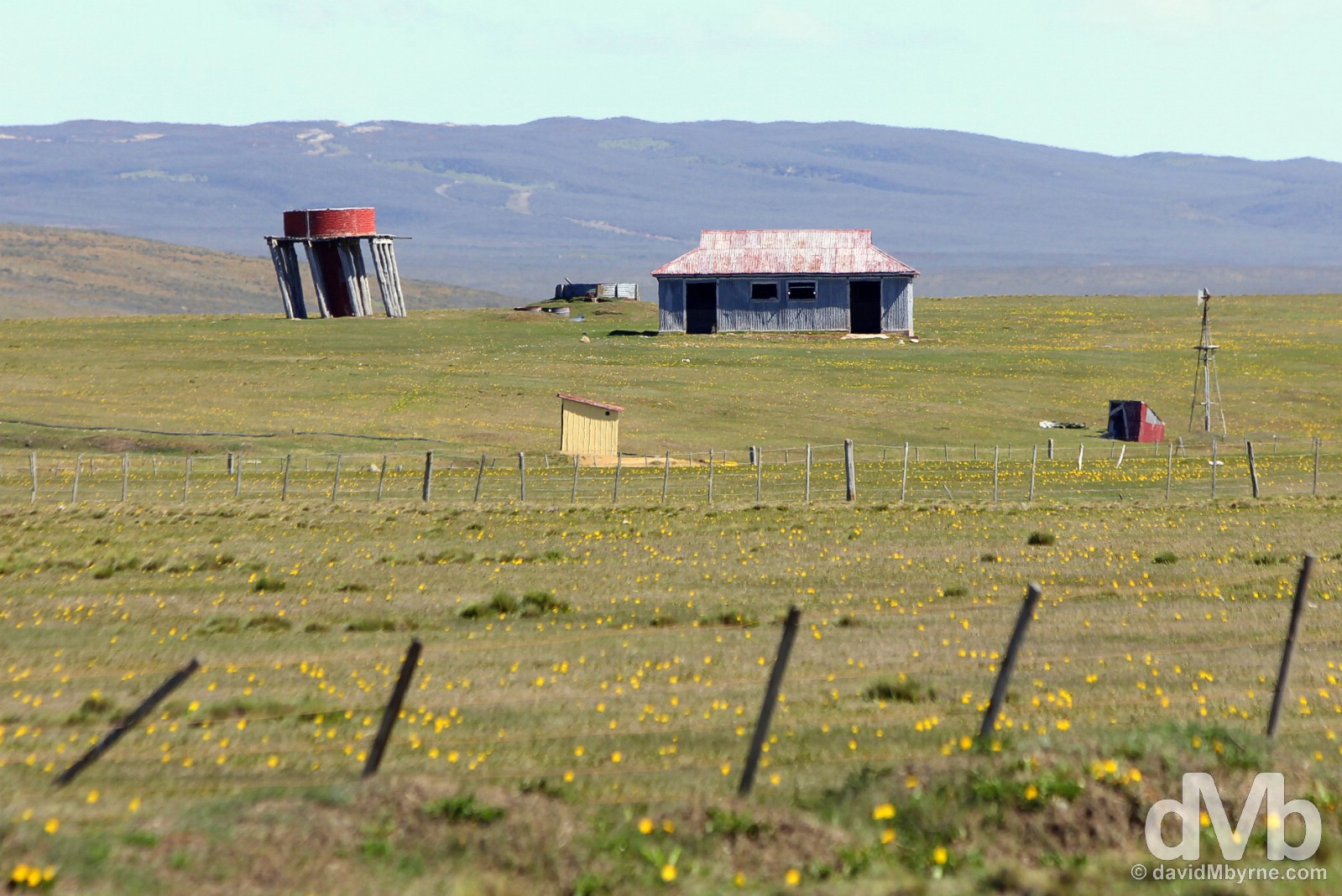 Windswept farmland near the San Sebastian border crossing with Chile & Argentina, Tierra del Fuego, Chile. November 11, 2015.