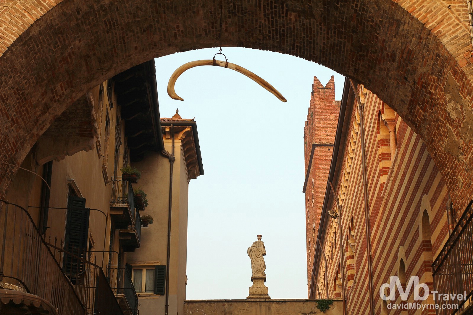 The Whale Bone hanging from Arco della Costa in Verona, Italy. march 17, 2014.