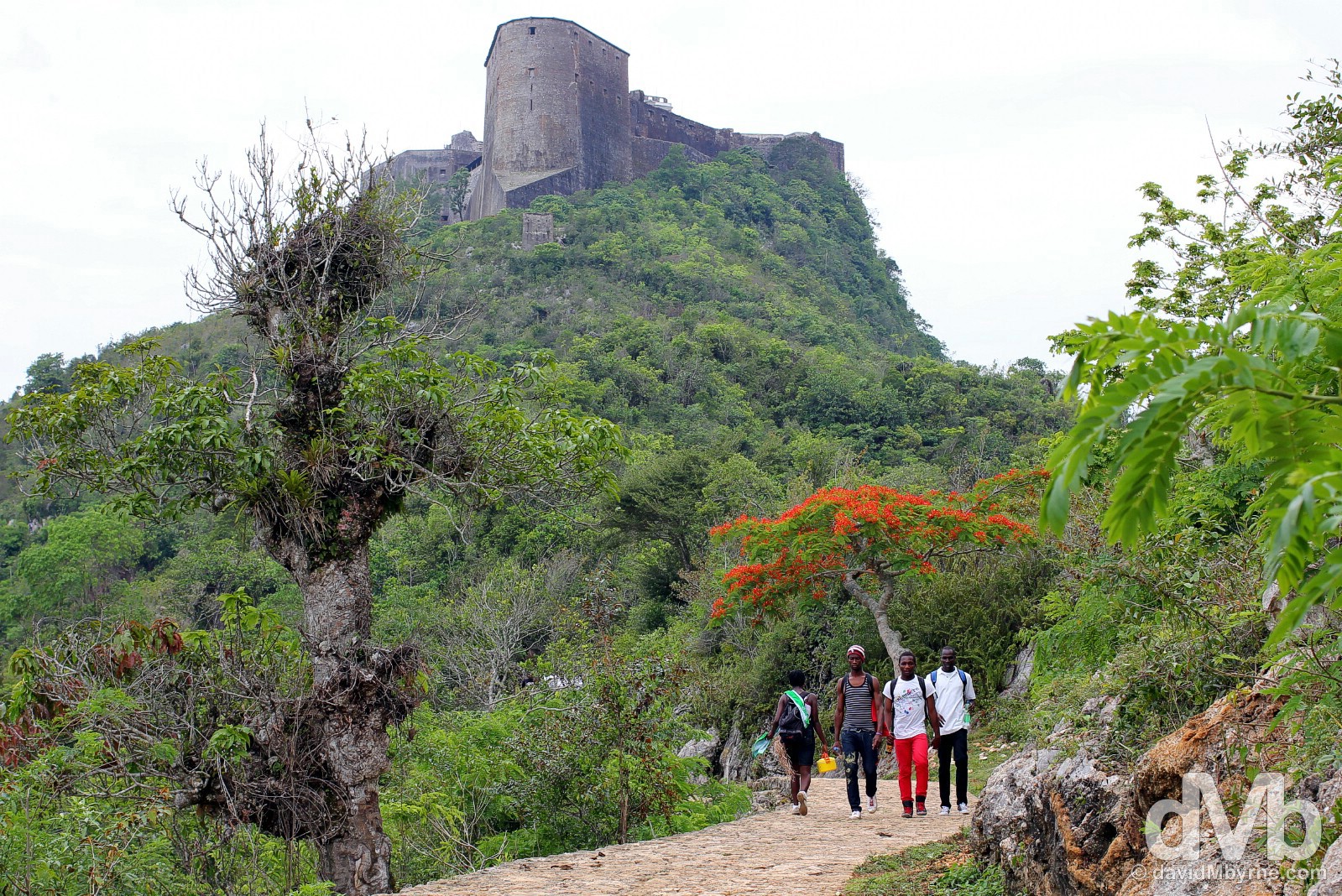 On the path to the UNESCO-listed Citadelle Laferrière in northern Haiti, Hispaniola, Greater Antilles. May 22, 2015.