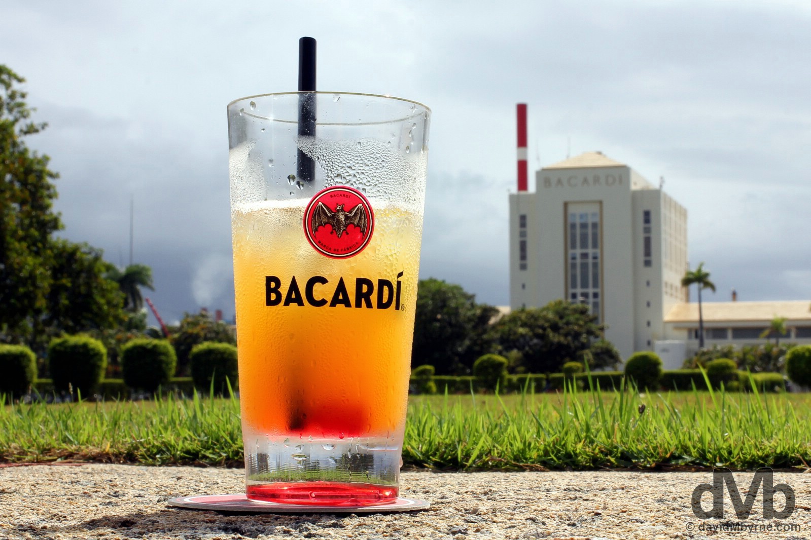 With the compliments of Bacardi. At Casa Bacardi, a.k.a. the Cathedral of Rum. Cataño, Puerto Rico, Great Antilles. June 2, 2015. 