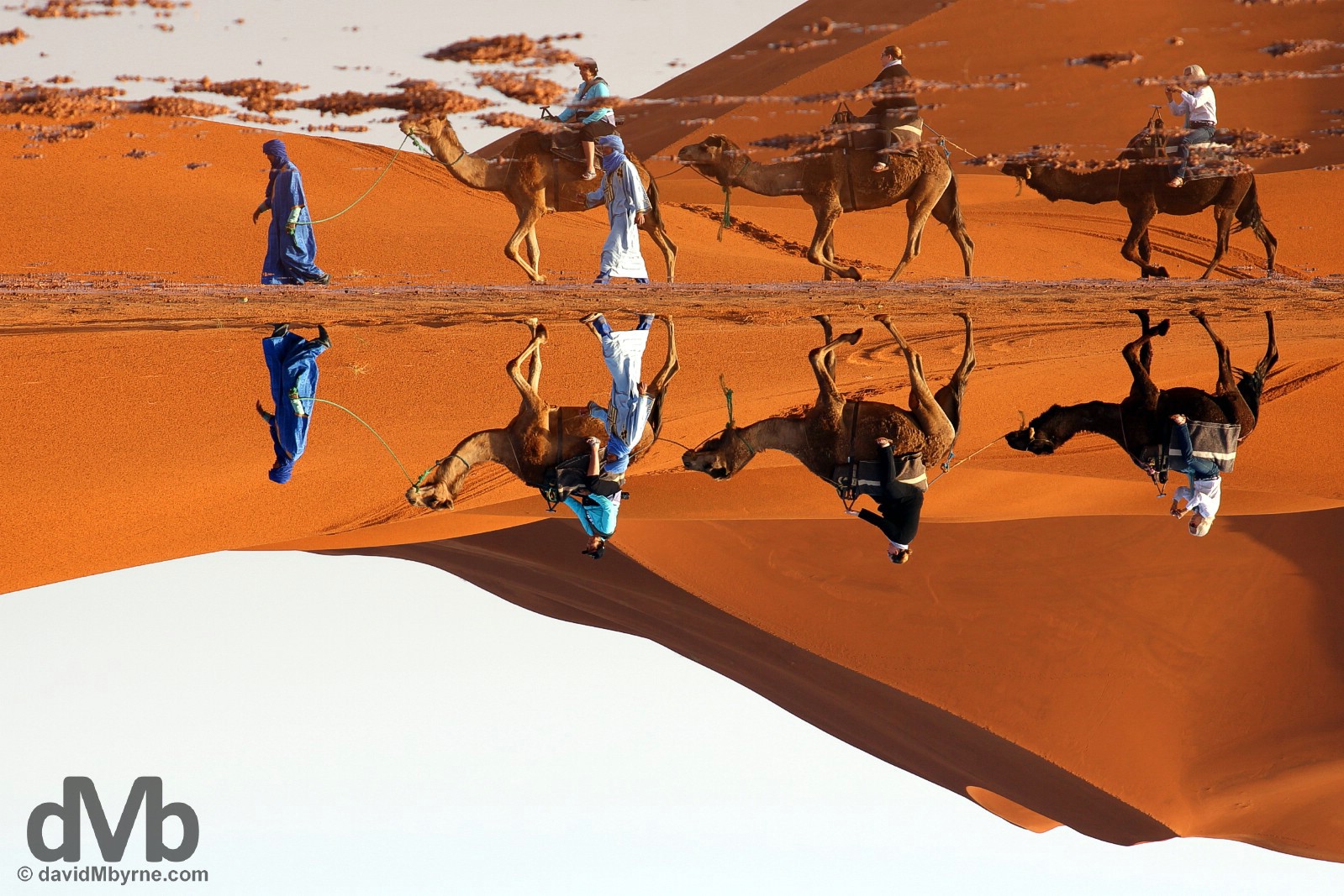 An inverted camel train reflection in the desert of Erg Chebbi, southeastern Morocco. May 19, 2014.