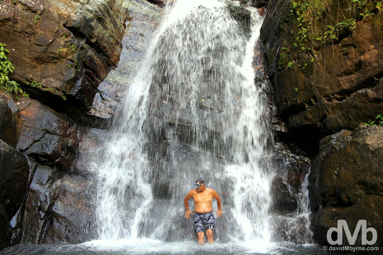 Cooling down in La Mina Falls of El Yunque National Forest, eastern Puerto Rico, Greater Antilles. June 5, 2015.