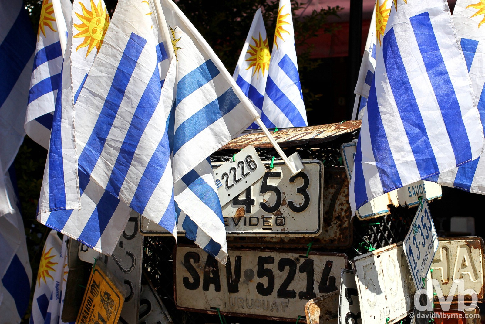 Flags on the streets of Montevideo, Uruguay. September 18, 2015.