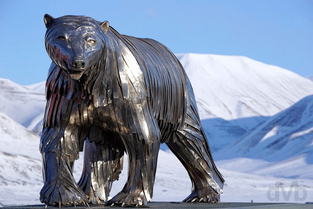 silver bear longyearbyen spitsbergen svalbard norway Worldwide