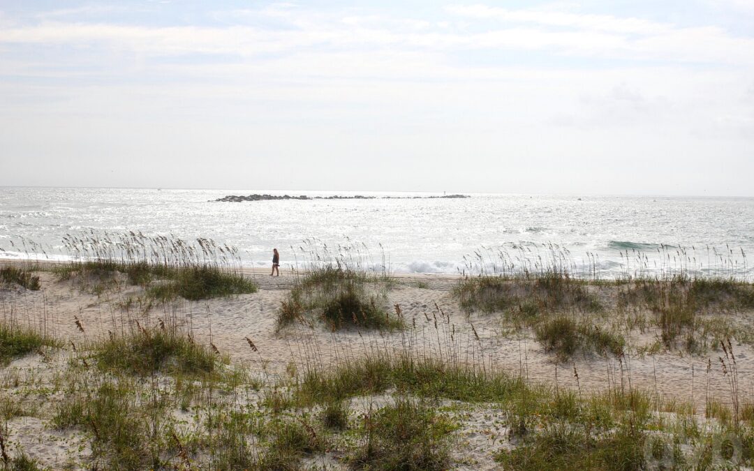 north carolina national estuarine research reserve wrightsville beach