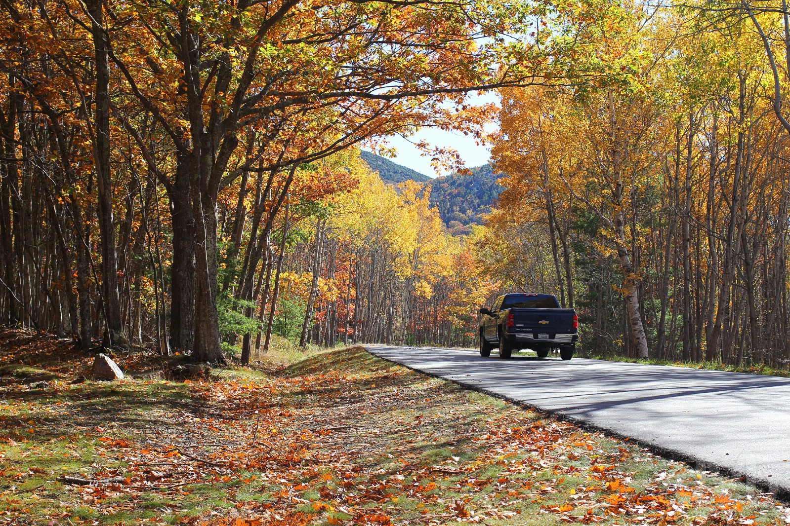 Park Loop Road Acadia National Park Maine - Worldwide Destination 