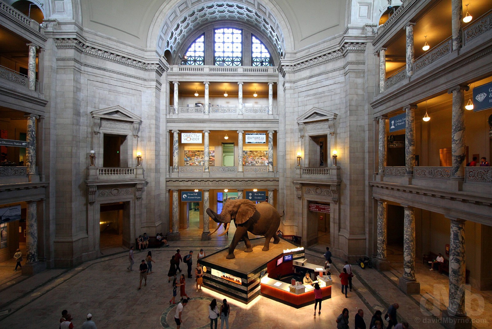 национальный музей естественной истории